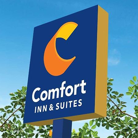 Comfort Inn & Suites Newark Liberty International Airport 외부 사진